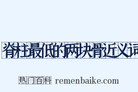 脊柱最低的两块骨近义词是什么意思的图片